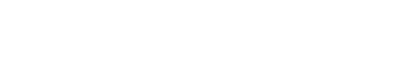 sinsei logo